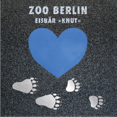 Eisbär Knut und Zoo Berlin
